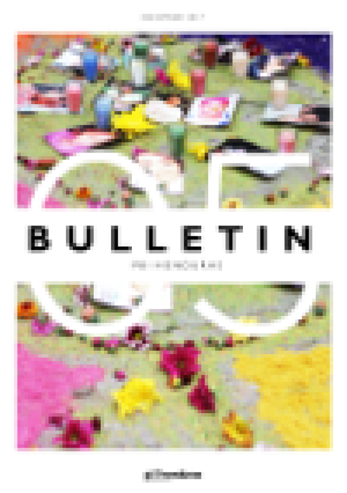 173101Publicaciones_Boletines_05_ENG_Portada.png